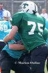 Dolphins vs Saints - 2672